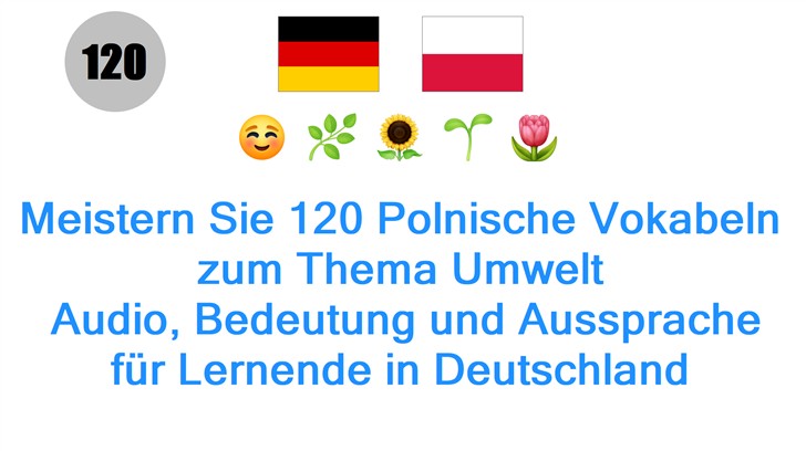 Meistern Sie 120 Polnische Vokabeln zum Thema Umwelt: Audio, Bedeutung und Aussprache für Lernende in Deutschland